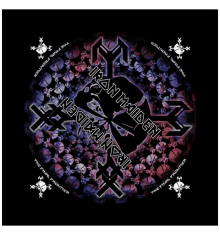 FINAL FRONTIER SKULL